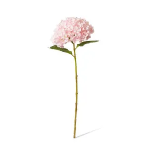 Hydrangea Garden Large Stem - 19 x 31 x 65cm by null, a Plants for sale on Style Sourcebook