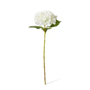 Hydrangea Garden Large Stem - 19 x 31 x 65cm by null, a Plants for sale on Style Sourcebook