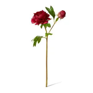 Peony Garden Spray (RT) - 30 x 20 x 62cm by null, a Plants for sale on Style Sourcebook
