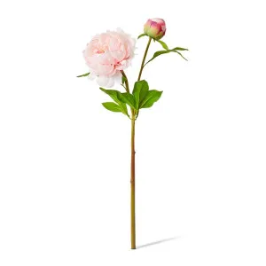 Peony Garden Spray (RT) - 30 x 20 x 62cm by null, a Plants for sale on Style Sourcebook