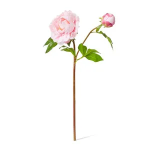 Peony Garden Spray (RT) - 30 x 20 x 62cm by null, a Plants for sale on Style Sourcebook