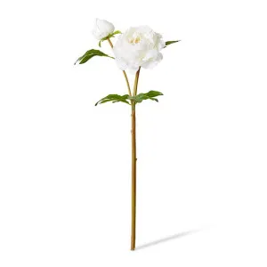 Peony Garden Spray (RT) - 30 x 20 x 62cm by null, a Plants for sale on Style Sourcebook
