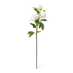 Peony Bud Spray (RT) - 25 x 25 x 62cm by null, a Plants for sale on Style Sourcebook