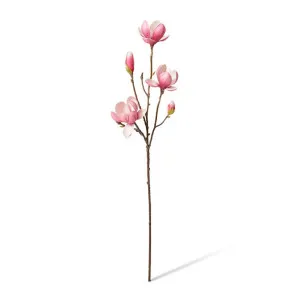 Magnolia Tree Spray - 25 x 18 x 72cm by null, a Plants for sale on Style Sourcebook