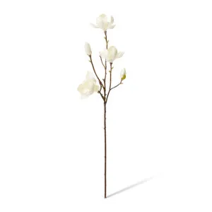 Magnolia Tree Spray - 25 x 18 x 72cm by null, a Plants for sale on Style Sourcebook