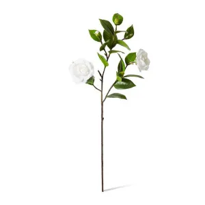 Camellia Spray - 30 x 25 x 69cm by null, a Plants for sale on Style Sourcebook