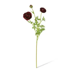Ranunculus Flower Spray - 20 x 18 x 64cm by null, a Plants for sale on Style Sourcebook