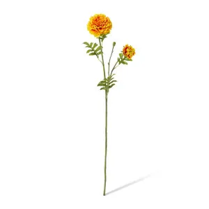 Marigold Spray - 8 x 14 x 64cm by null, a Plants for sale on Style Sourcebook