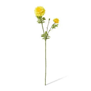 Marigold Spray - 8 x 14 x 64cm by null, a Plants for sale on Style Sourcebook