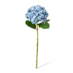Hydrangea Stem - 24 x 24 x 75cm by null, a Plants for sale on Style Sourcebook