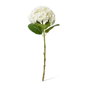 Hydrangea Stem - 24 x 24 x 75cm by null, a Plants for sale on Style Sourcebook