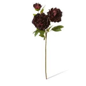 Peony Queen Spray - 30 x 20 x 76cm by null, a Plants for sale on Style Sourcebook