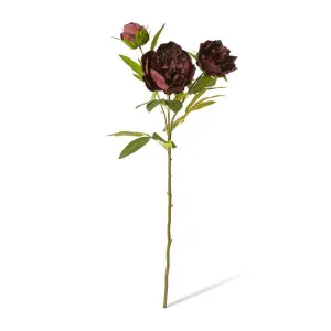 Classic Peony Spray - 27 x 24 x 75cm by null, a Plants for sale on Style Sourcebook