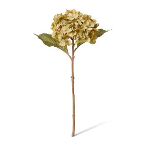 Hydrangea Rapture Stem - 25 x 16 x 47cm by null, a Plants for sale on Style Sourcebook