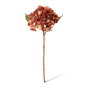 Hydrangea Rapture Stem - 25 x 16 x 47cm by null, a Plants for sale on Style Sourcebook