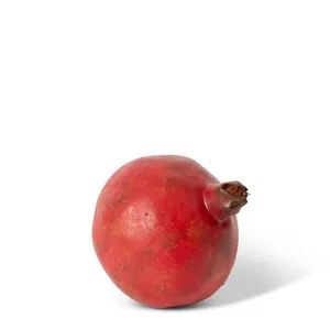 Pomegranate Grand - 10 x 10 x 10cm by null, a Plants for sale on Style Sourcebook