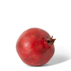 Pomegranate Grand - 12 x 12 x 12cm by null, a Plants for sale on Style Sourcebook