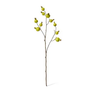 Pomegranate Branch - 30 x 12 x 92cm by null, a Plants for sale on Style Sourcebook
