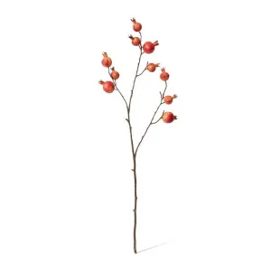 Pomegranate Branch - 30 x 12 x 92cm by null, a Plants for sale on Style Sourcebook