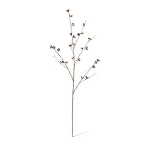 Bean Branch - 30 x 15 x 103cm by null, a Plants for sale on Style Sourcebook