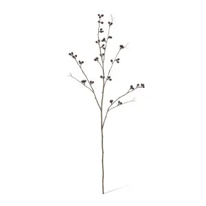 Bean Branch - 30 x 15 x 103cm by null, a Plants for sale on Style Sourcebook