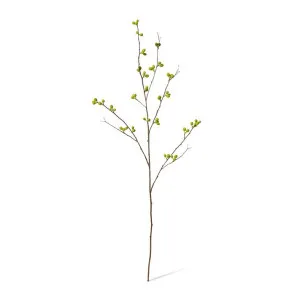 Bean Branch - 30 x 15 x 103cm by null, a Plants for sale on Style Sourcebook