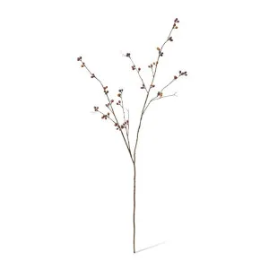 Bean Branch - 40 x 40 x 129cm by null, a Plants for sale on Style Sourcebook