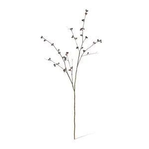 Bean Branch - 40 x 40 x 129cm by null, a Plants for sale on Style Sourcebook