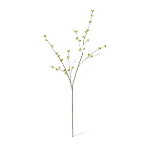 Bean Branch - 40 x 40 x 129cm by null, a Plants for sale on Style Sourcebook