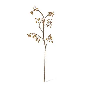 Wild Rosehip Branch - 30 x 30 x 114cm by null, a Plants for sale on Style Sourcebook
