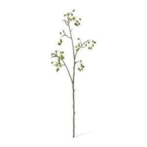 Catkins Spray - 30 x 25 x 96cm by null, a Plants for sale on Style Sourcebook