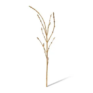 Tree Branch - 20 x 20 x 128cm by null, a Plants for sale on Style Sourcebook