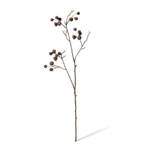 Mountain Apple Berry Branch - 30 x 30 x 91cm by null, a Plants for sale on Style Sourcebook