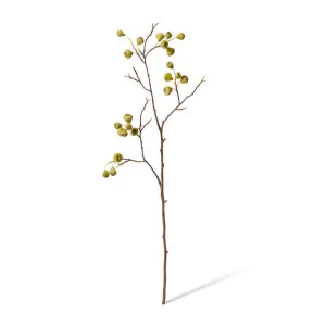 Mountain Apple Berry Branch - 30 x 30 x 91cm by null, a Plants for sale on Style Sourcebook