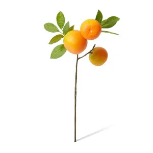 Orange Branch Spray - 20 x 15 x 52cm by null, a Plants for sale on Style Sourcebook