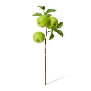 Apple Branch Spray - 20 x 15 x 51cm by null, a Plants for sale on Style Sourcebook