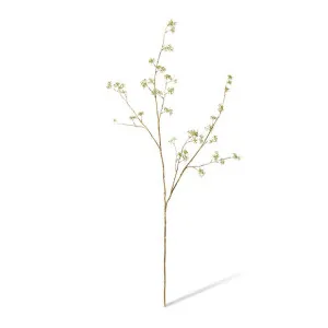 Seeding Eucalyptus Branch - 35 x 30 x 132cm by null, a Plants for sale on Style Sourcebook