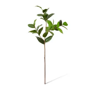 Camellia Leaf Spray - 28 x 28 x 84cm by null, a Plants for sale on Style Sourcebook