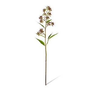 Eucalyptus Jarrah Seed Spray - 24 x 11 x 74cm by null, a Plants for sale on Style Sourcebook