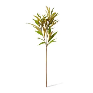 Silky Oak Leaf Spray - 40 x 15 x 122cm by null, a Plants for sale on Style Sourcebook
