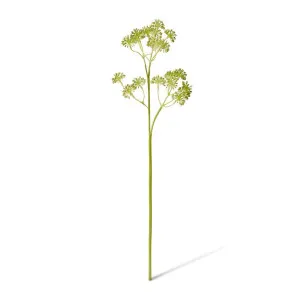 Seeding Berry Spray - 26 x 13 x 64cm by null, a Plants for sale on Style Sourcebook