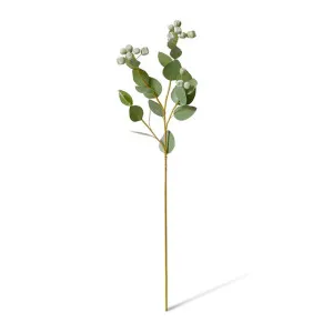 Eucalyptus Seed Pod Spray - 24 x 12 x 74cm by null, a Plants for sale on Style Sourcebook
