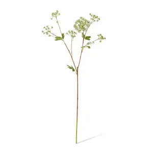 Angelica Garden Seeding Spray - 24 x 20 x 87cm by null, a Plants for sale on Style Sourcebook