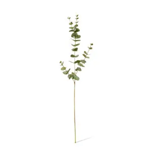 Eucalyptus Spray - 14 x 10 x 81cm by null, a Plants for sale on Style Sourcebook