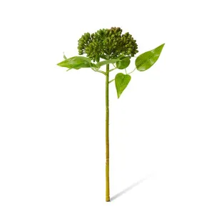 Sedum Spray - 26 x 16 x 43cm by null, a Plants for sale on Style Sourcebook