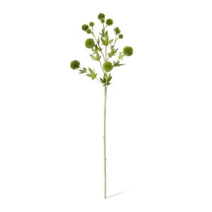 Thistle Ball Spray - 18 x 12 x 66cm by null, a Plants for sale on Style Sourcebook