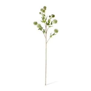 Thistle Ball Spray - 18 x 12 x 66cm by null, a Plants for sale on Style Sourcebook