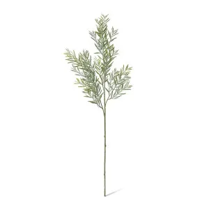 Acacia Spray - 20 x 14 x 78cm by Elme Living, a Plants for sale on Style Sourcebook