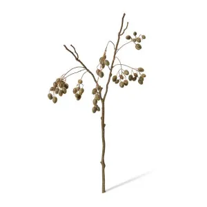 Barberry Branch - 30 x 20 x 85cm by null, a Plants for sale on Style Sourcebook