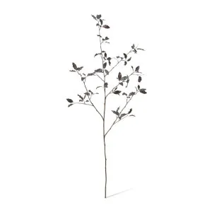 Pittosporum Branch - 40 x 30 x 104cm by null, a Plants for sale on Style Sourcebook